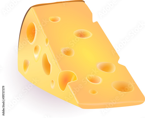 vector illustration piece of cheese on isolated background