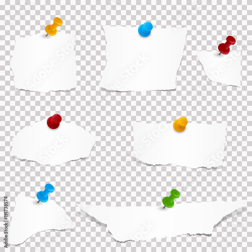 collection of white paper scraps