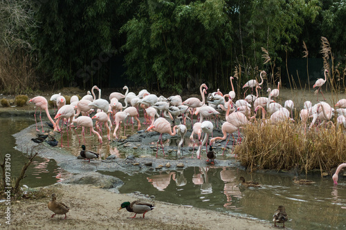 Familienausflug in den Basler Zoo photo