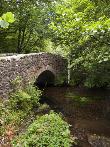 Typical old stone bridge over the River Bovey at North Bovey on the edge of Dartmoor National Park, Devon, UK photo