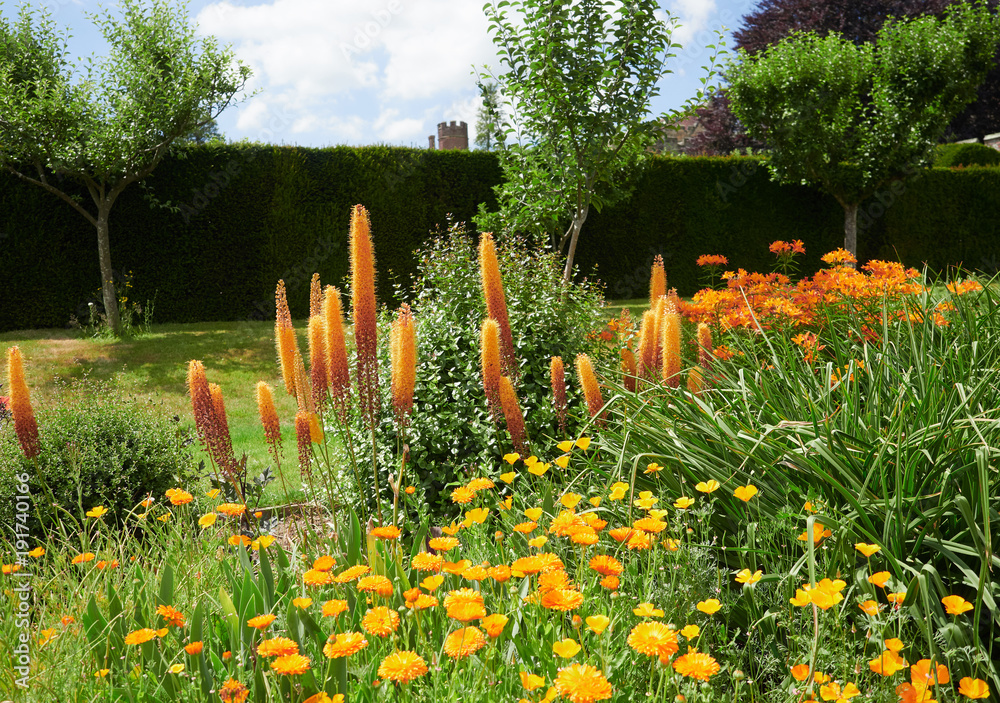 Fotografie Flower gardens at the historic medieval grounds and buildings of Penhurst Place