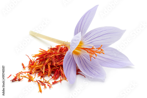 Saffron with crocus flower photo