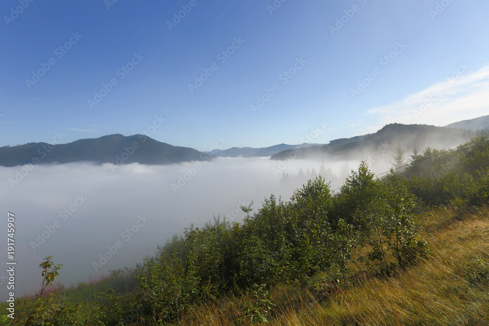travel, landscape, fog, haze, morning, the mountains, trees, forest, sky, wood,mountains