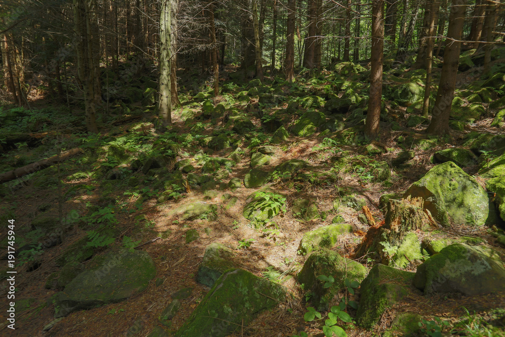 landscape, vertex, stones, mosses, mountains, tree, nature