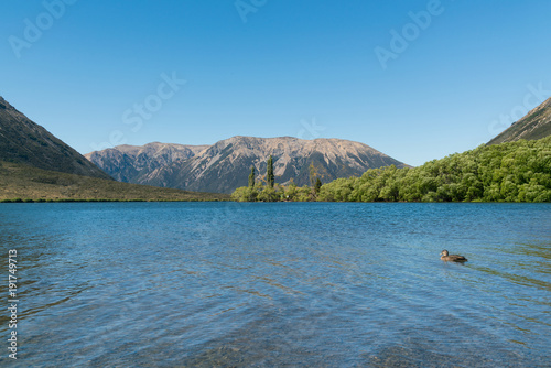 Summer season at Lake Pearson southern alpine alps mountain range, New Zealand photo