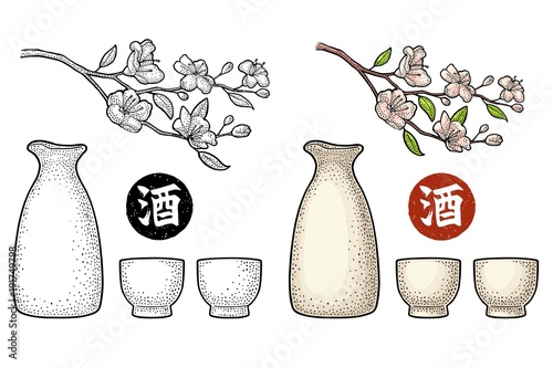 Sakura blossom. Cherry branch with flowers and bud. Petals falling.
