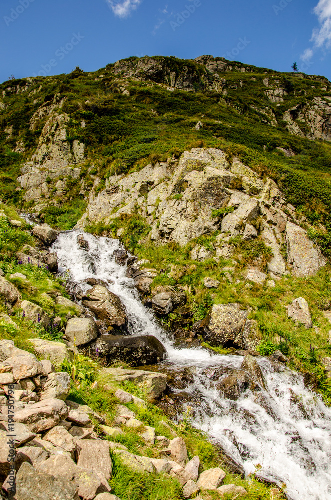 alps view during summer, scenic landscape of italian alps during summer