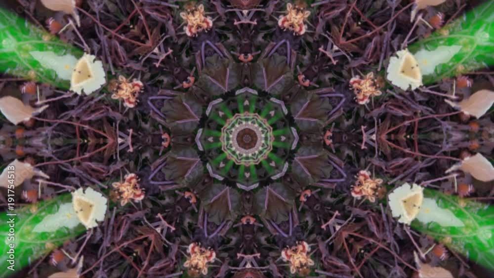 Fractal Abanico Caleidoscopico