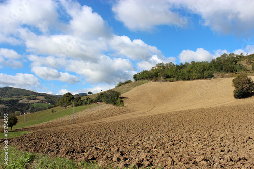 collina arata photo