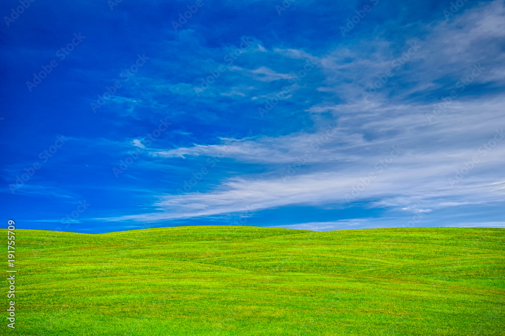 Green field and sky Green field and sky