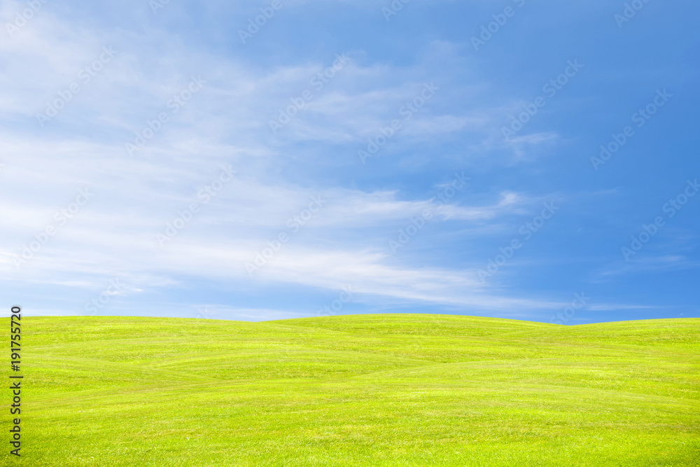 Green hill under the blue sky