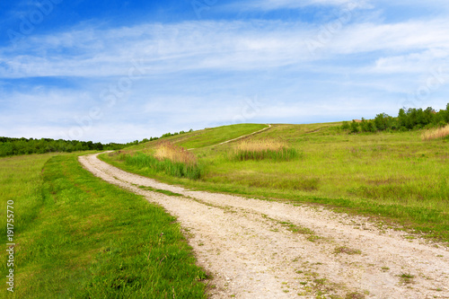 Path through green glades