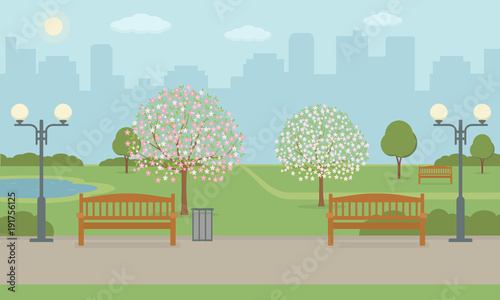 City park with benchs, lawn and blooming trees. Spring landscape background. Vector illustration. 