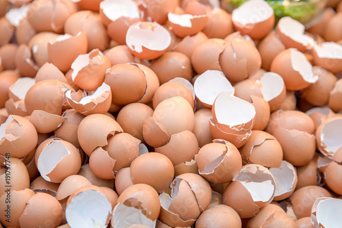 Bilde på lerret eggshell, many broken eggshell