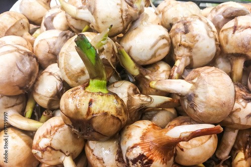 Ngaku or arrowhead is delicacy during Chinese New Year