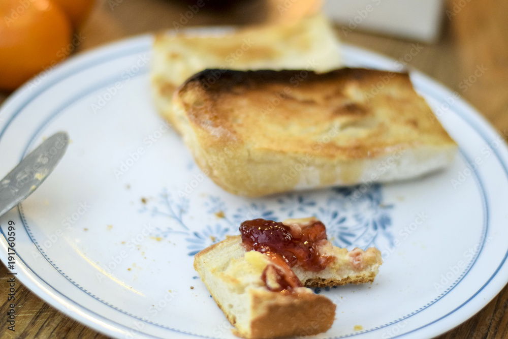Artisanal toast on plate Artisanal toast on plate