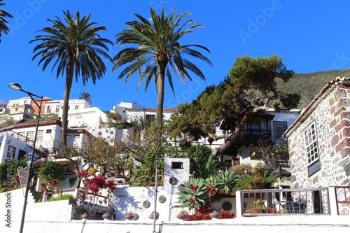 Typical Canarian houses with beautiful gardens on hillside, Valle Gran Rey, La Gomera © Ines Porada