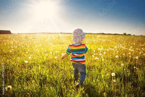 Baby boy standing in grass on the fieald with dandelions