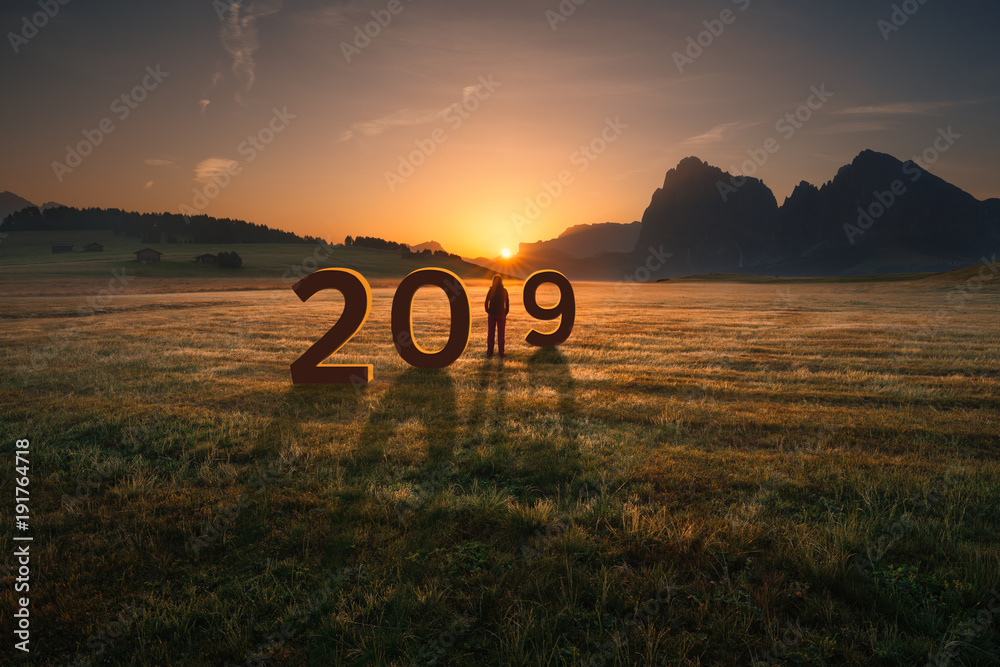 Lone girl looking forward and worried for 2019 - obrazy, fototapety, plakaty 