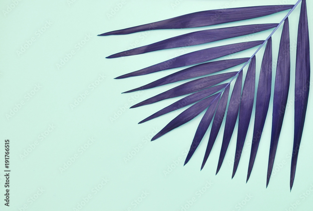 Abstract palm leaf on blue background
