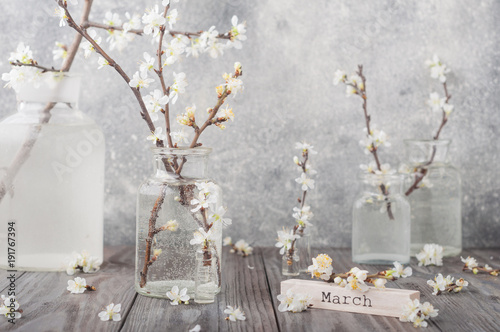 March. Blossoms  apple tree flowers   in vases on grey wooden table. Flowers composition. Spring blooming. Blossom branches.
