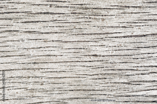 Сlose-up texture of wood.