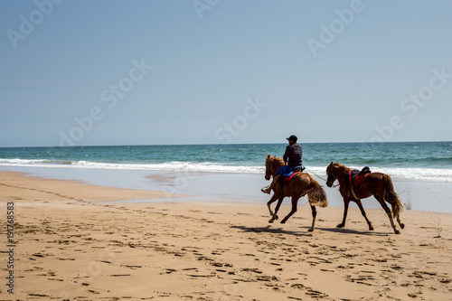 Cavalier avec deux chevaux qui courent sur une plage déserte