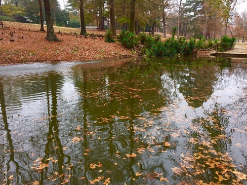 Lago