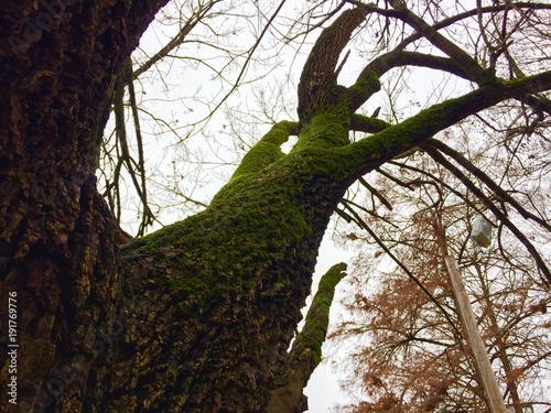 Otoño