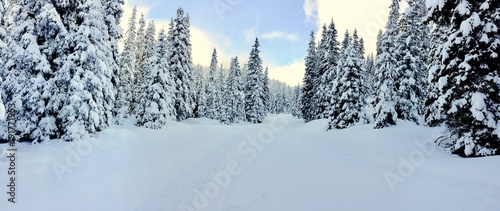 snowland photo