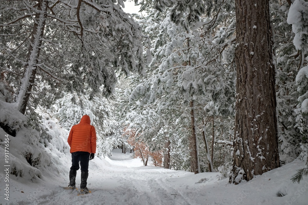 Man Walking In Winter Etna Park, Sicily