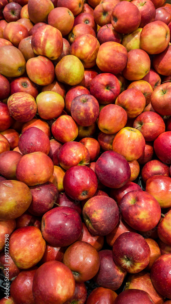 Alte Sorte von Äpfeln im Bio Markt Alte Sorte von Äpfeln im Bio Markt