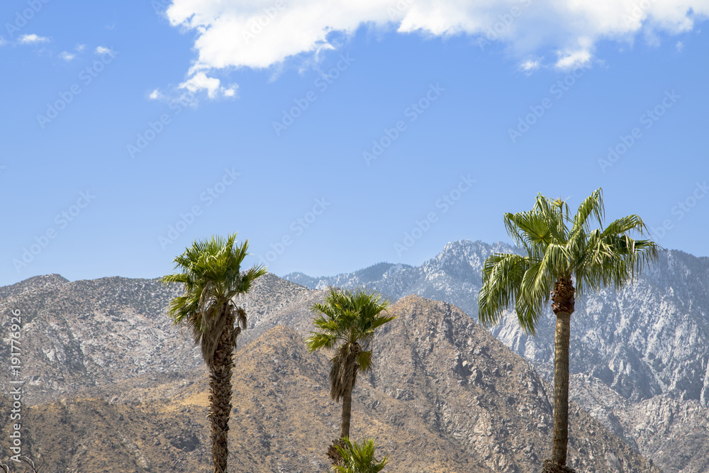 Three palm trees against a mountain landscape in Palm Springs, California 