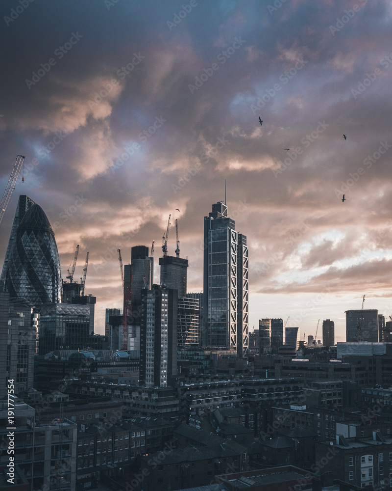 Obraz premium London sunset birds