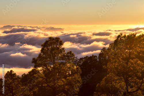 Sunset seen from the forest above clouds