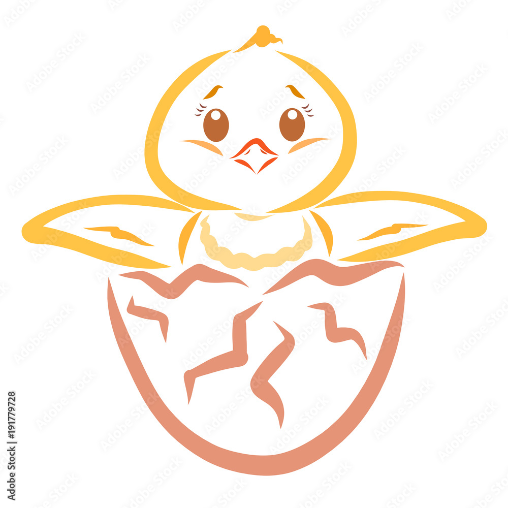 Funny little chicken hatched from egg Funny little chicken hatched from egg