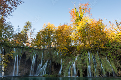 Golden trees on top of a waterfall in Plitvice Lakes National Park. There are multiple streams of water falling into a lake. Taken in the fall. The trees are changing colors.