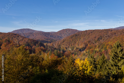 Vast view of fall colors in Europe. Taken at Plitvice Lakes National Park in autumn, the trees were an amazing blend of different vibrant colors. Blue skies, few clouds © Reid