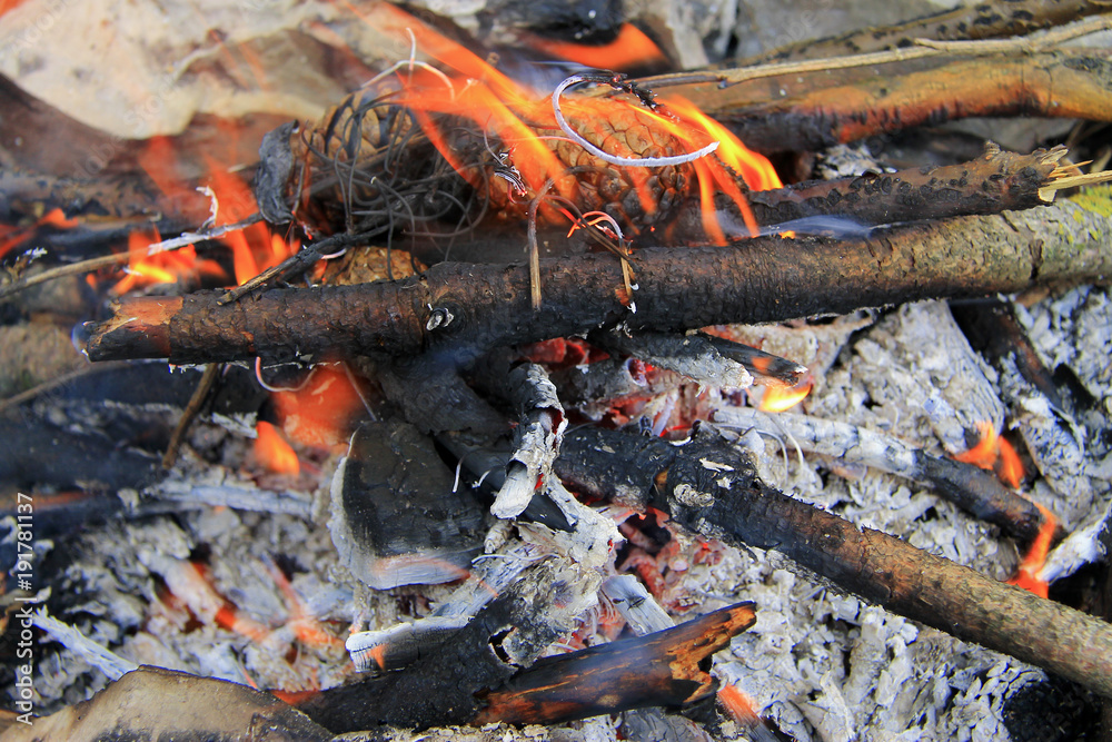 Bonfire in the forest ready for barbeque Bonfire in the forest ready for barbeque