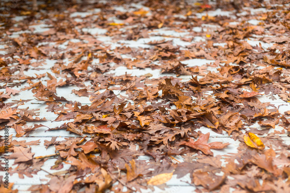 Fall Leaves Cover A Wooden Backyard Deck