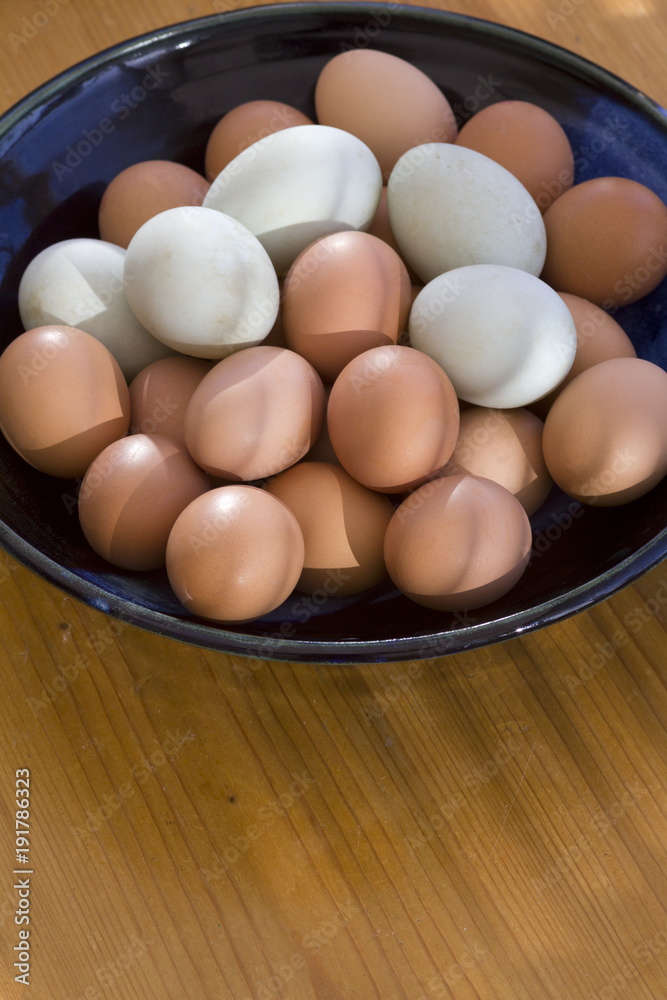 A collection of fresh free range duck and chicken eggs in a dish in morning sunlight. Shallow depth of field. A collection of fresh free range duck and chicken eggs in a dish in morning sunlight. Shallow depth of field.