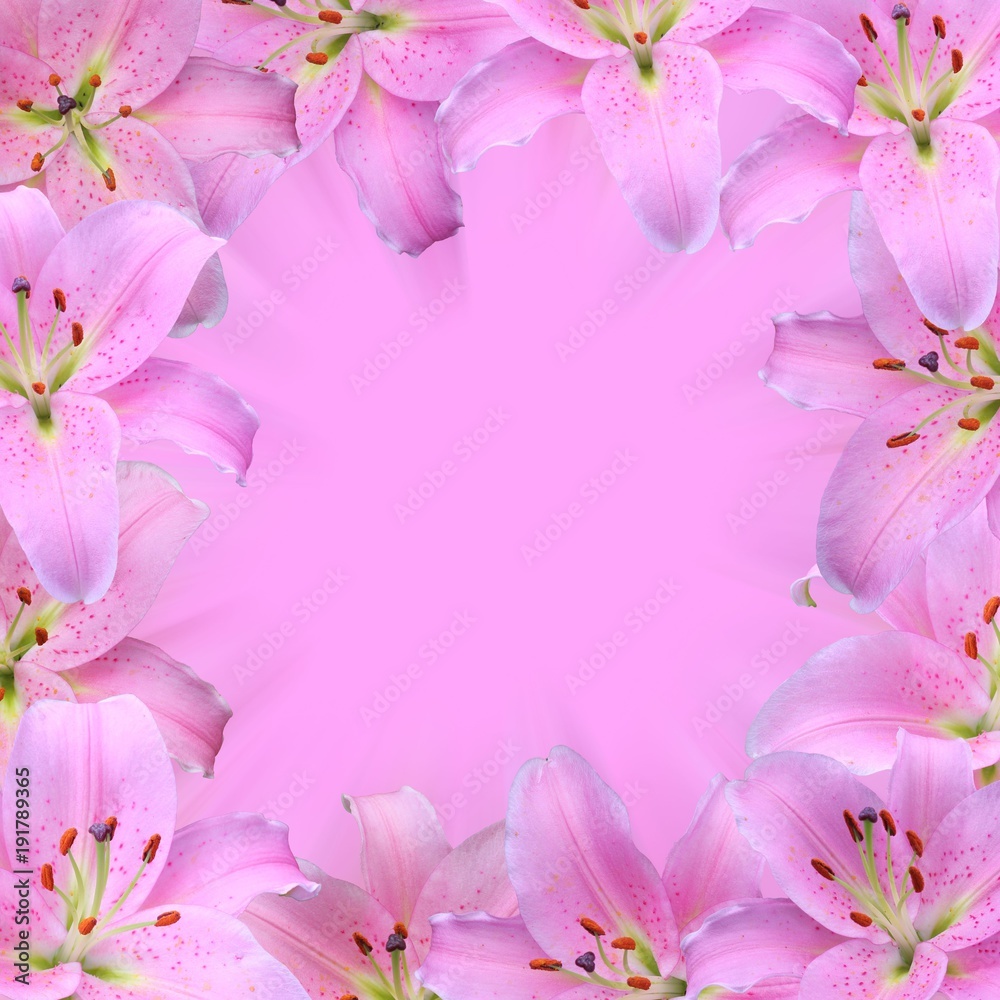 blurred background with lily frame