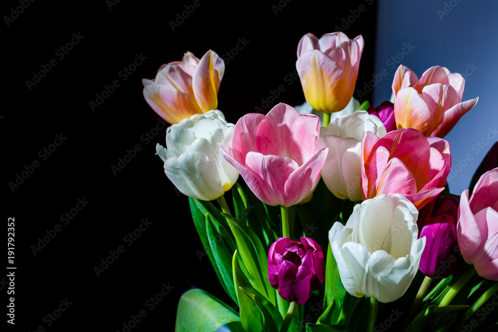 spring flowers banner, bunch of tulip flowers spring flowers banner, bunch of tulip flowers