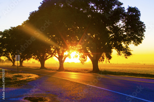 Louisiana Sunrise photo