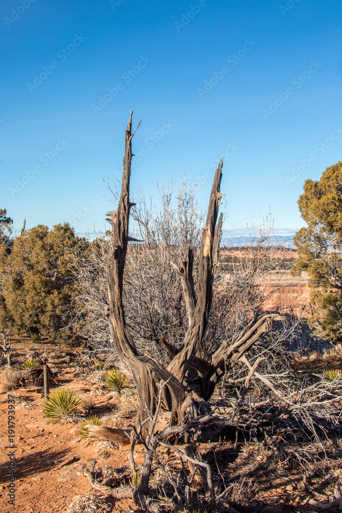 Desert landscape and sky