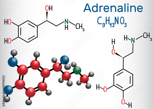 Adrenaline (epinephrine) molecule .  It is a hormone, neurotransmitter, and medication. Structural chemical formula and molecule model