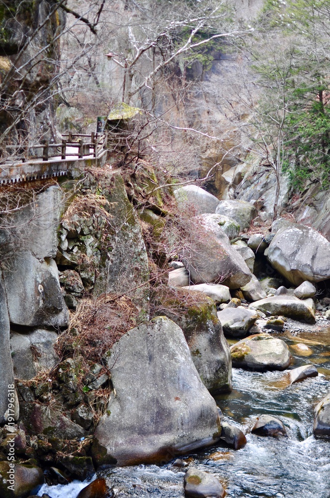 Obraz premium 岩と川