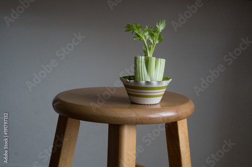 celery stalk on stool with white background