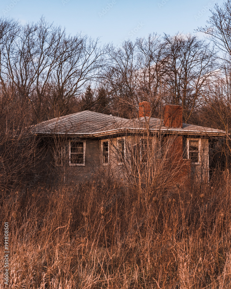 Abandoned building overtaken by nature