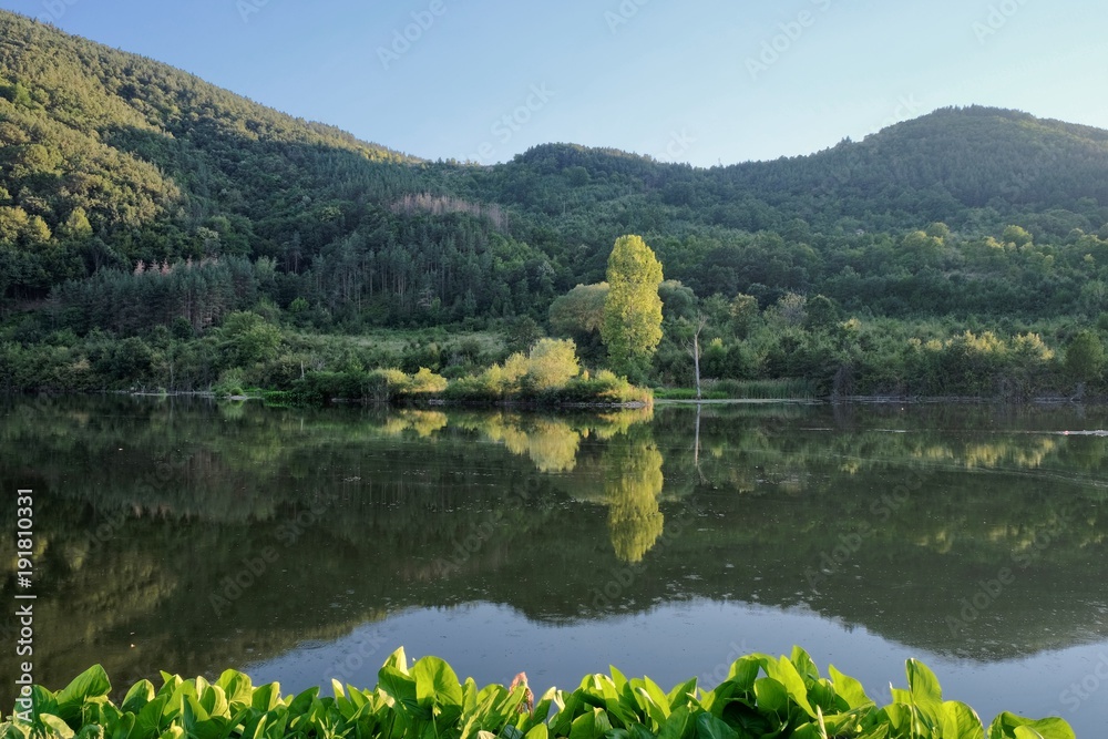 Woods Reflection On Iskar River, Bulgaria